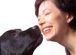 Teach Your Dog Affectionate Tricks