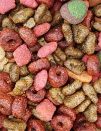 Organic Dog Natural Dog Food Organic Pet