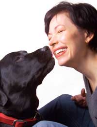 Teach Your Dog Affectionate Tricks