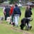 The Myth of 'Alpha Dog'
